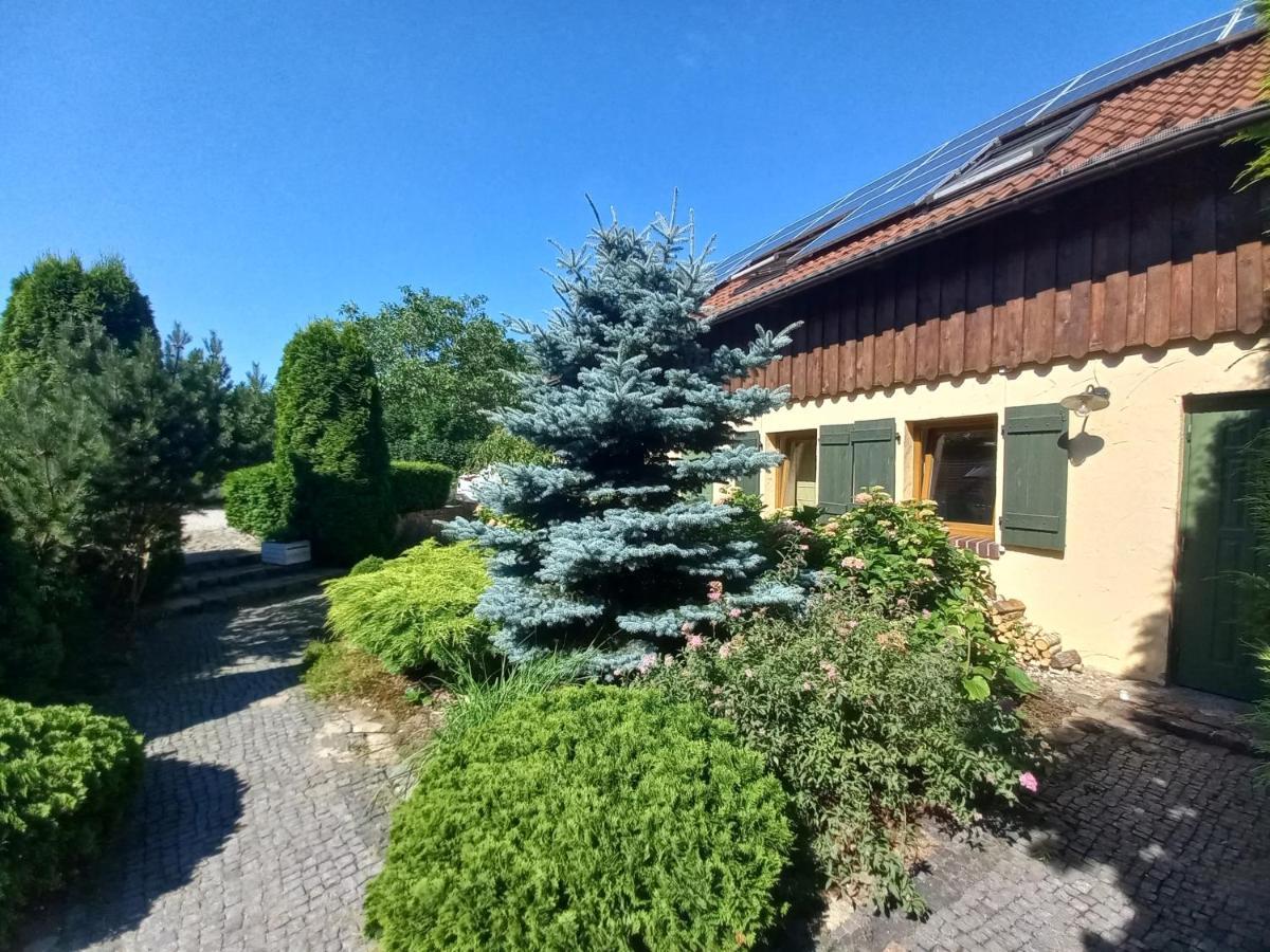Avalon Polchowo Kamien Pomorski Kültér fotó
