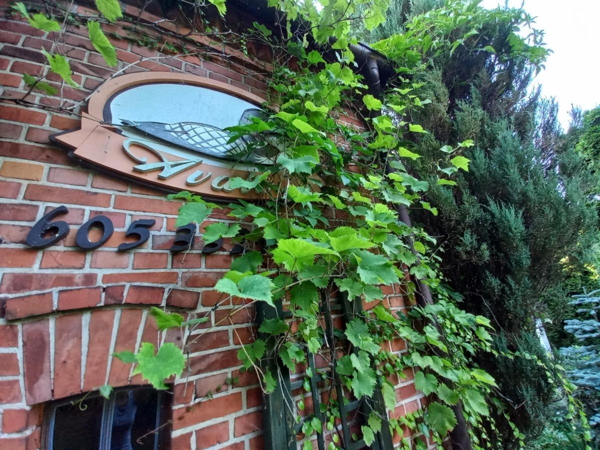Avalon Polchowo Kamien Pomorski Kültér fotó