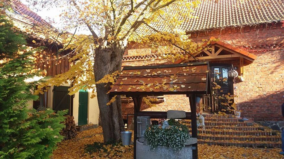 Avalon Polchowo Kamien Pomorski Kültér fotó