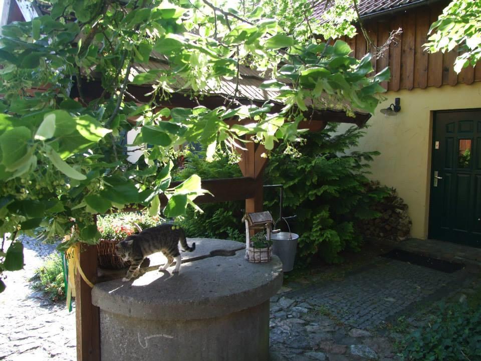 Avalon Polchowo Kamien Pomorski Kültér fotó