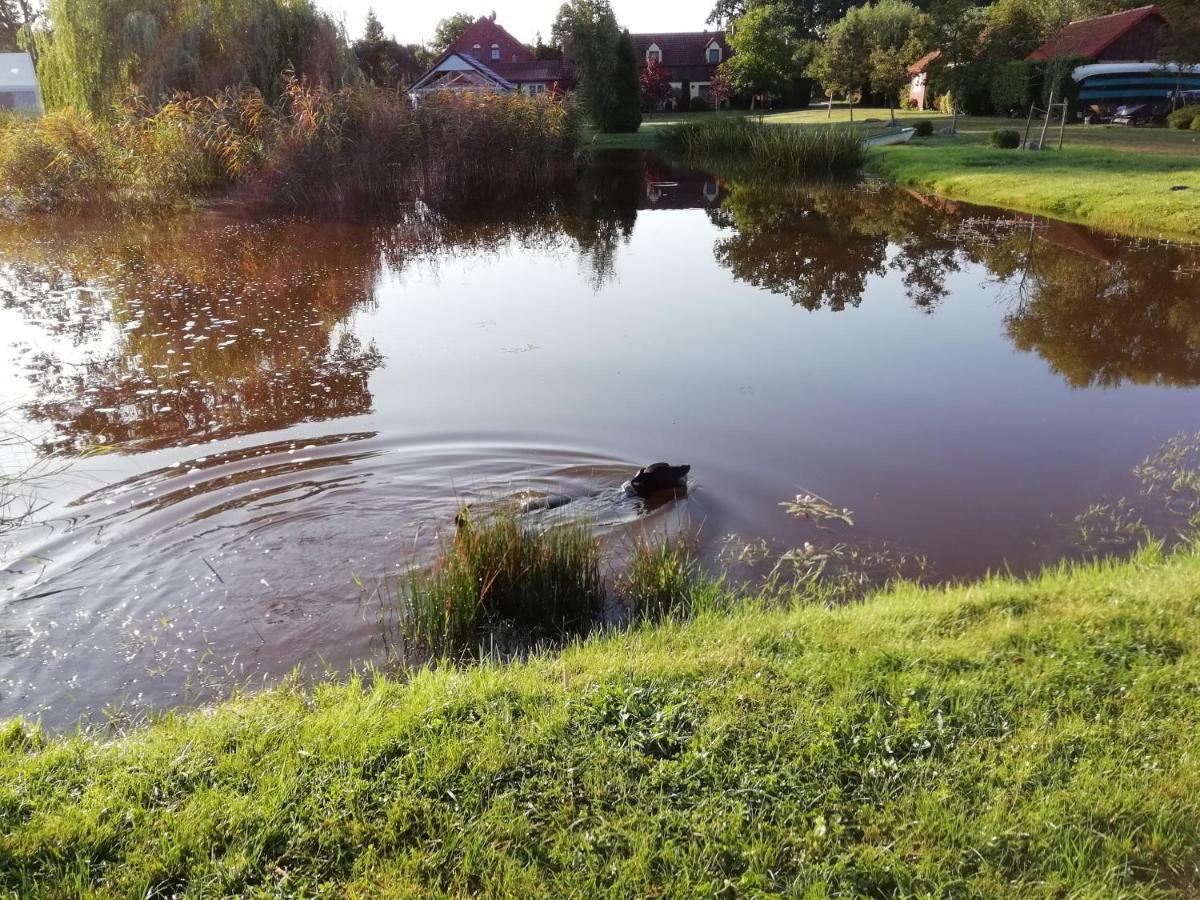 Avalon Polchowo Kamien Pomorski Kültér fotó